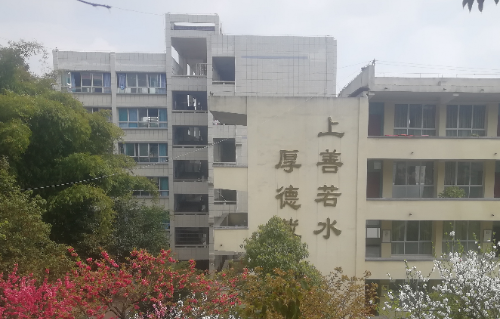 畢節實驗高級中學