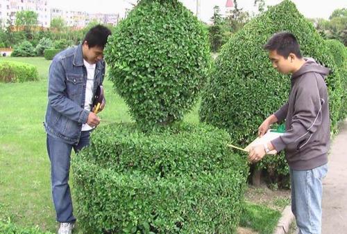 現代林業技術專業