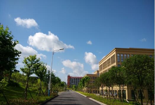 重慶電信職業學院自考學院