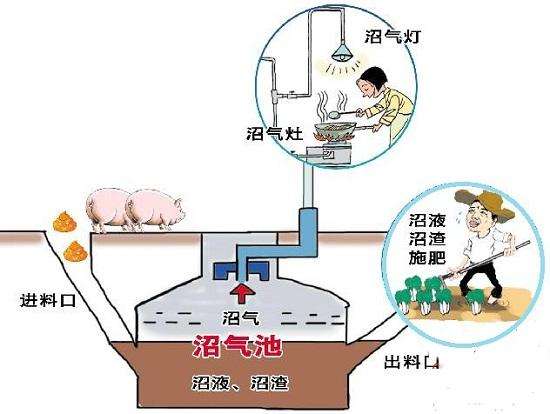 太陽能與沼氣技術利用專業