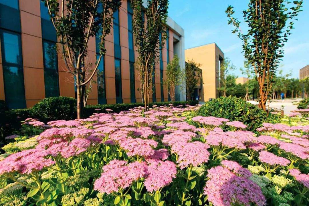樂山廣播電視大學五通分?！鸽姶蟆?></a></div>
          <dl>
              <dt><a href=