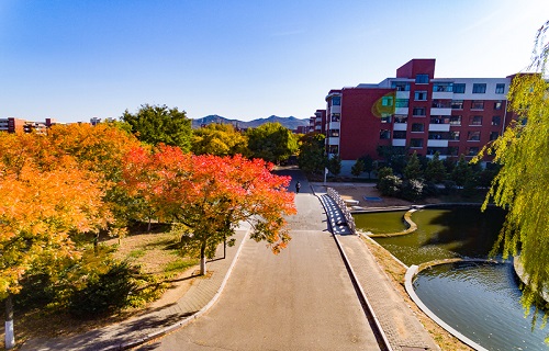 山東科技大學繼續教育學院
