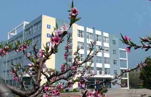 蚌埠經濟技術職業學院繼續教育學院
