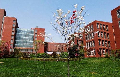 中國農業大學網絡教育學院