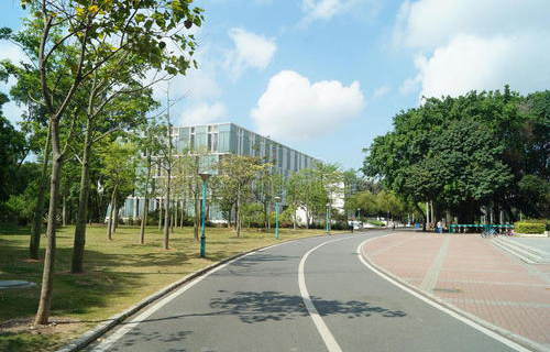 江川縣大莊鄉中學