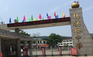 桃源縣楊溪橋鄉中學