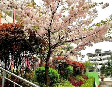 崇州市公議鄉中學
