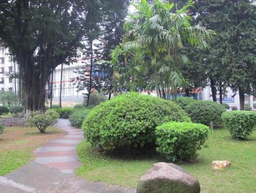 奉節縣馮坪中學