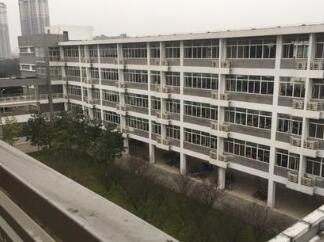 武漢市蔡甸區實驗高級中學