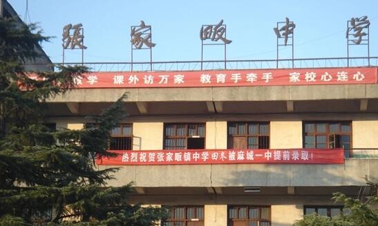 麻城市張家畈鎮中學