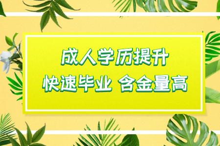 統考專升本畢業之后是第一學歷嗎
