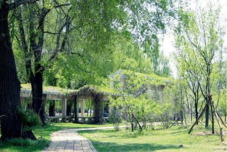涼山州農業學校