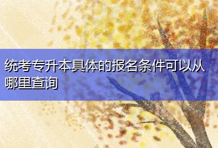 統考專升本具體的報名條件可以從哪里查詢