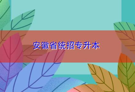 安徽省統招專升本
