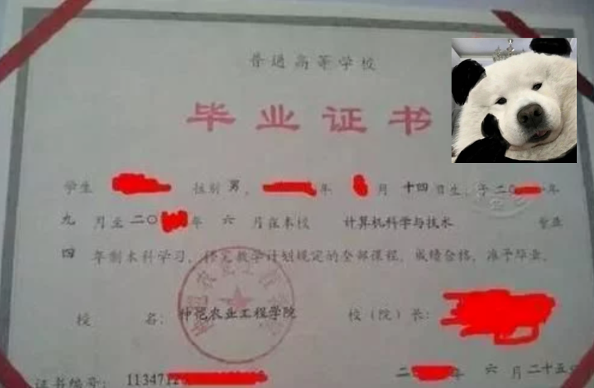 不同類型專升本畢業證圖片展示