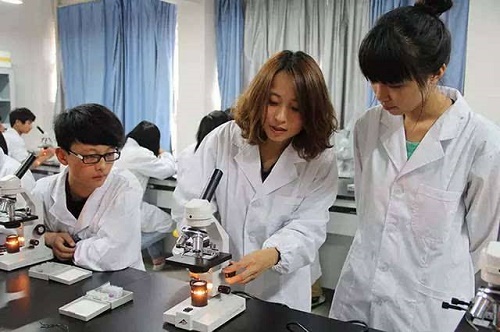 報考中職學什么專業好