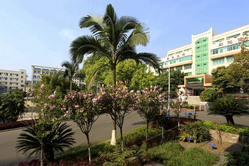 成都中醫藥大學峨眉學院生活條件怎么樣