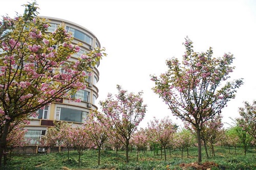 重慶交通職業學校學費收費標準