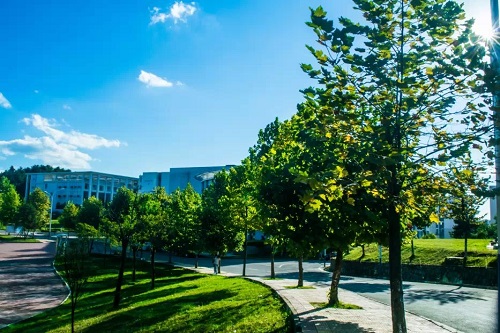長順中等職業學校什么專業好