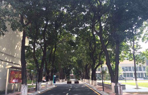 云南省化工高級技工學校網站網址