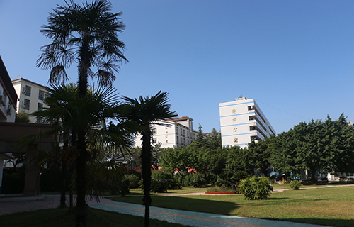 大理衛生學校地址在哪