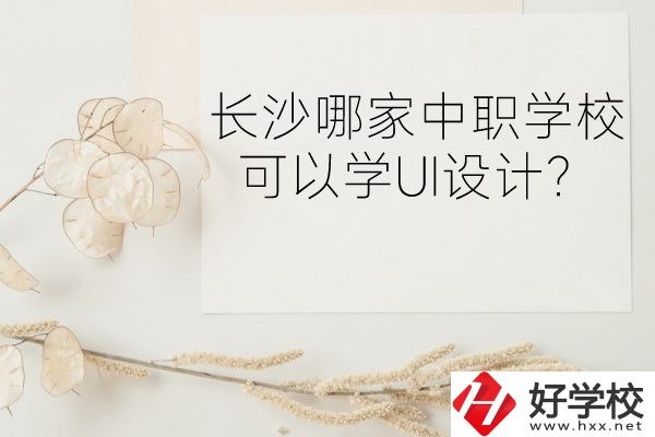 長沙哪家中職學?？梢詫WUI設計？
