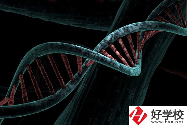 溆浦縣職業中等專業學校宿舍怎么樣？