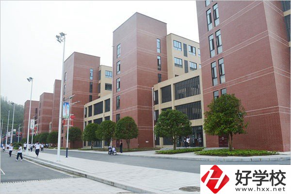 益陽有哪些職高比較有辦學特色？職高入學要求高不高？