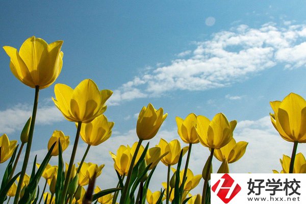 岳陽有開設工業機器人技術應用專業的中職學校嗎？