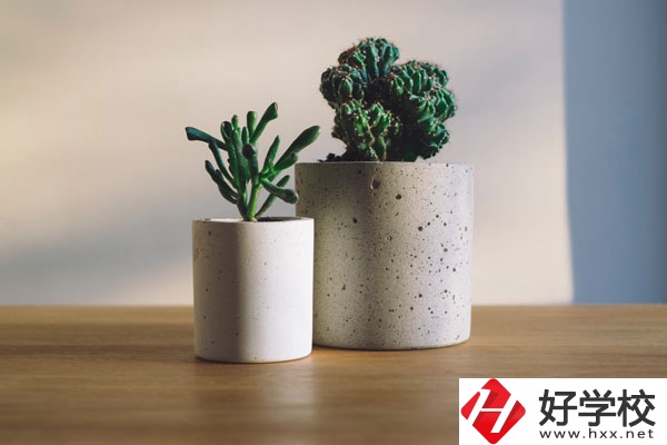 芷江民族職業中專招生專業有哪些？收費標準如何？