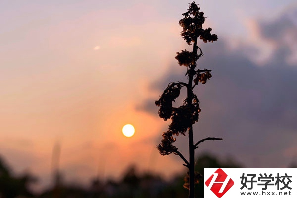 邵陽哈博職業中專學校好不好？有什么辦學特色？