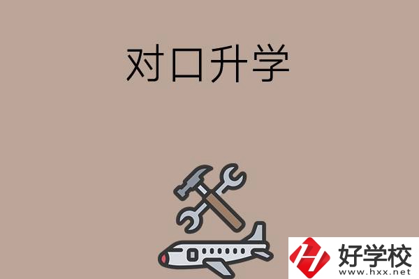 職高學生參加湖南省對口升學，有什么本科可以報考？