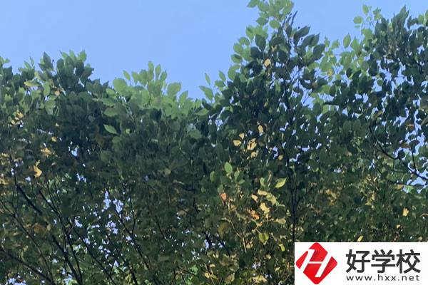 邵陽職業技術學校就業好不好？值得報考嗎？