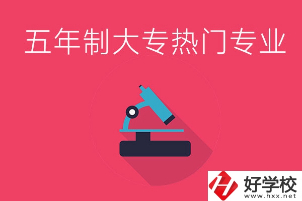 湖南五年制大專最熱門的專業有哪些？