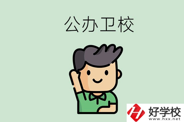 湖南的公辦衛校有哪些？這兩所學校值得推薦！