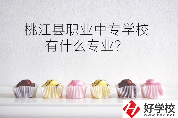 桃江縣職業中專學校到底好不好？有什么專業？