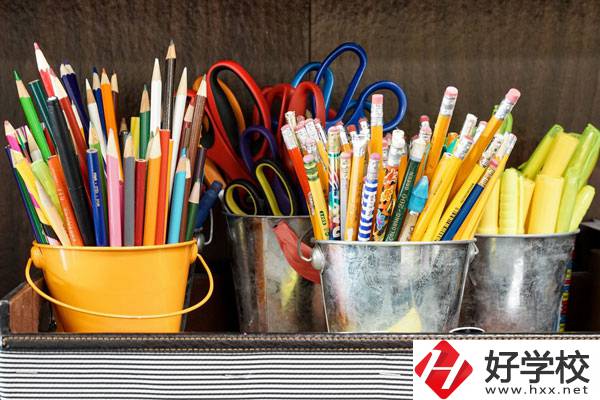 在懷化有什么職?？梢詫W習幼師？好不好？