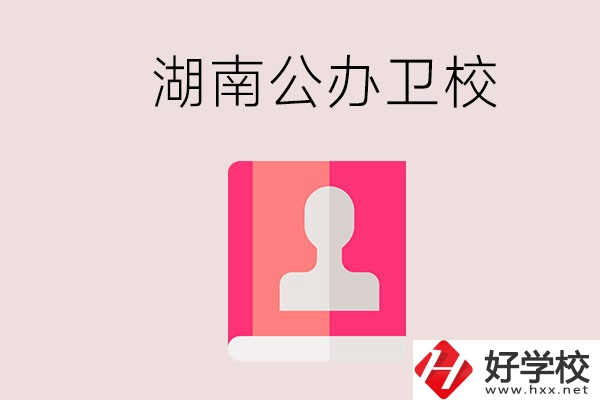 想在湖南上公辦衛?？梢赃x擇哪些學校？