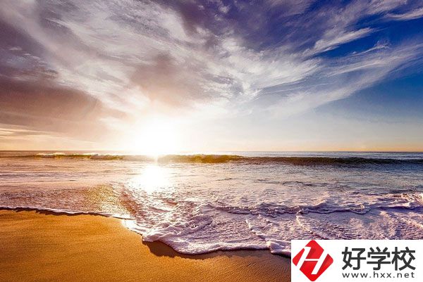 桃源縣機電成人中專學校有什么專業？學生滿意度如何？