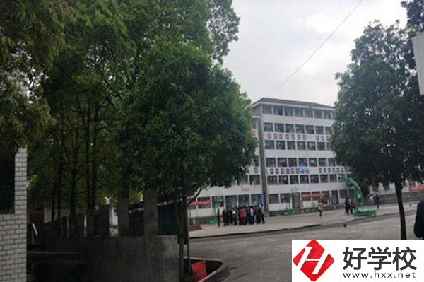 桃源縣武陵職業技術學校專業多嗎?招生多少?
