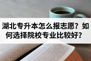 湖北省專升本怎么報志愿？如何選擇填報院校專業比較好？