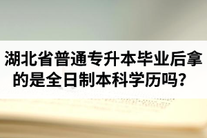 湖北省普通專升本畢業后拿的是全日制本科學歷嗎？