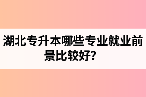 湖北專升本哪些專業就業前景比較好？