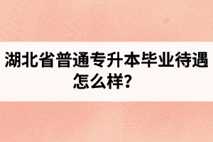 湖北省普通專升本畢業待遇怎么樣？
