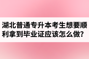 湖北普通專升本考生想要順利拿到畢業證應該怎么做？