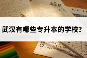 武漢有哪些專升本的學校？