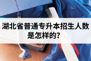 湖北省普通專升本招生人數是怎樣的？