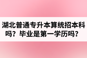 湖北普通專升本算統招本科嗎？專升本學歷是第一學歷嗎？