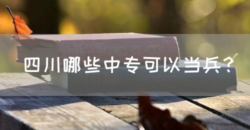 四川哪些中?？梢援敱?？(圖1)