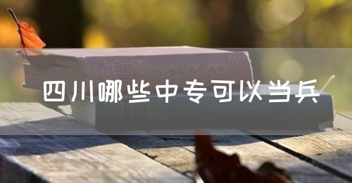 四川哪些中?？梢援敱?圖1)